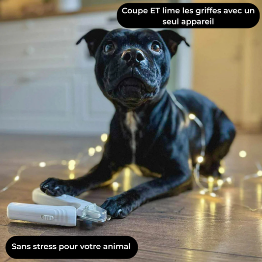TassCare - Coupe et lime les griffes de votre animal en toute sécurité